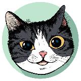 Аватарка канала Цікаві вакансії