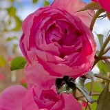 Аватарка канала ⊅ᴧя ⊅уɯи