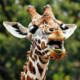 Аватарка канала Шутки-прибаутки