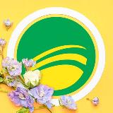 Аватарка канала zelenyjostrov.ru