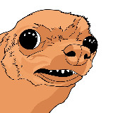 Аватарка канала "Собачье Княжество"