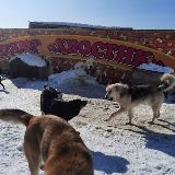 Аватар канала 1625067470