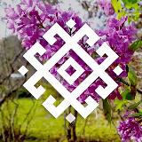 Аватарка канала А у нас в Марий Эл