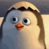 Аватарка канала Взрослые вещи просто