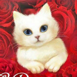 Аватарка канала Открытки и Поздравления с Днём рождения