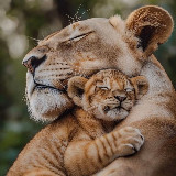 Аватар канала 2182493009