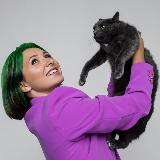 Аватарка канала Метод Майер: груминг кошек