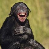 Аватар канала 1841382848