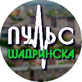Аватарка канала Пульс Шадринска