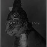 Аватарка канала mydeestiny