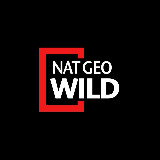Аватарка канала Nat Geo Wild