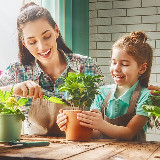 Аватарка канала Цветы и растения