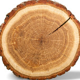 Аватарка канала PRO ДЕРЕВО