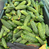 Аватарка канала 🥒Домашние огурцы🥒 канал