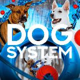 Аватарка канала DS - дрессировка собак