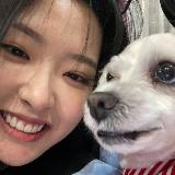 Аватарка канала acervo stickers