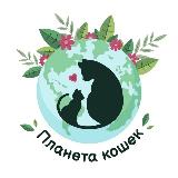 Аватар канала 1688266020