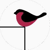 Аватарка канала Фонд защиты городских животных - URBANANIMAL.RU