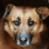 Аватар канала 1377574103