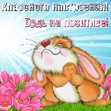 Аватарка канала Открытки для души✨