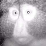 Аватарка канала юля, зачем?