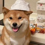 Аватарка канала 🎅🏿神人.污青(诈骗犯死妈)