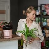 Аватарка канала PLANTS.NSK