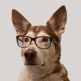 ITDog avatar