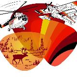 Аватарка канала AVIANAO