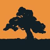 Аватарка канала «Желтый двор»