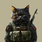 Аватарка канала "Кот в подсумке"