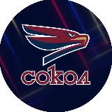 Аватарка канала ХК «Сокол» Красноярск