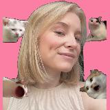 Аватарка канала NO REELS PLS (ШАБЛОНЫ МЕМОВ)