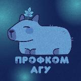 Аватарка канала Профком обучающихся АГУ | Майкоп 🌿