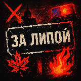 Аватарка канала ЗА ЛИПОЙ — новости Липецка