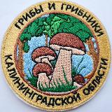 Аватарка канала ГРИБНАЯ БАНДА КАЛИНИНГРАДА