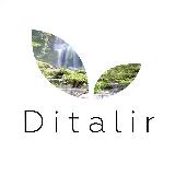 Аватар канала 2229424379