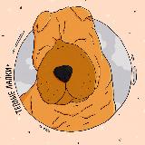 Аватарка канала Тёплые Лапки 🐾