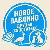 Аватарка канала Друзья Хвостатых | Новое Павлино