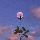 Аватарка канала 𝐌𝐨𝐨𝐧𝐥𝐢𝐠𝐡𝐭 | музыка | обои🎧