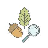 Аватарка канала Ботанический сад Петра Великого. Санкт-Петербург