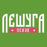Аватарка канала Фестиваль ЛЕШУГА