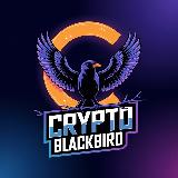 Аватарка канала "Crypto Blackbird 🐦‍⬛️"