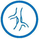 Аватарка канала Рентгенхирурги / Конференции, новости, литература