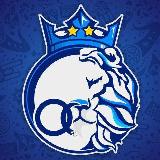 Аватарка канала کانال هواداران استقلال