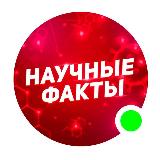 Аватарка канала Научные факты🧠📚