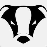 Аватарка канала БАРСУК