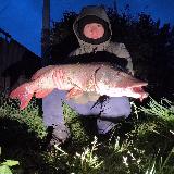 Аватар канала 1689703155