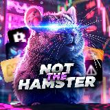 Аватарка канала Not The Hamster 🐹
