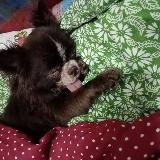 Аватар канала 1730954339